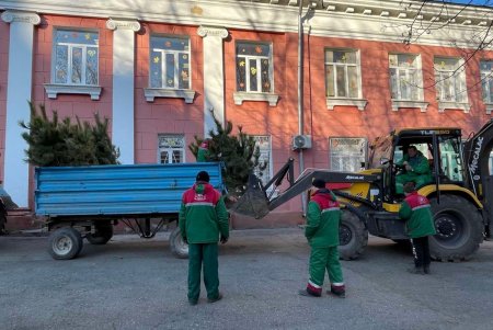 В Одессе стартовала акция по высадке 1600 сосен на территории школ и детсадов (фото)