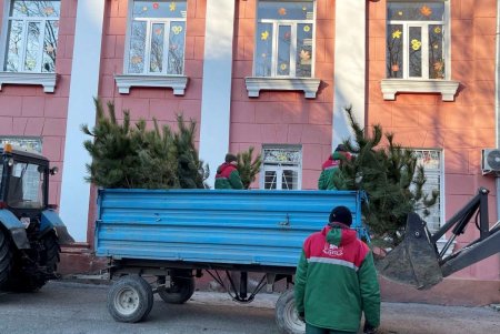 В Одессе стартовала акция по высадке 1600 сосен на территории школ и детсадов (фото)