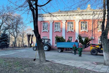 В Одессе стартовала акция по высадке 1600 сосен на территории школ и детсадов (фото)