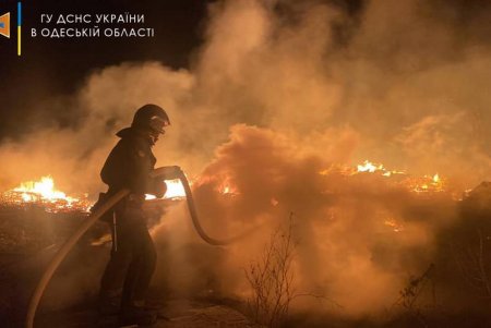 В селе Лиманка Одесского района сгорели два недостроенных дома (фото)