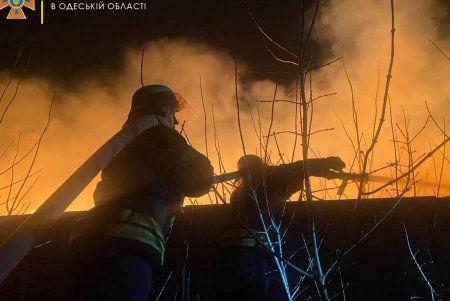 В селе Лиманка Одесского района сгорели два недостроенных дома (фото)