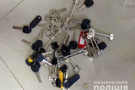 Преступники незаконно завладели земельными участками в Лиманке на девять миллионов гривен (фото)