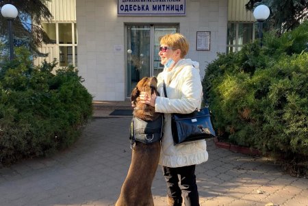 Накануне Международного дня объятий пес таможенников Марсель порадовал обнимашками одесситов