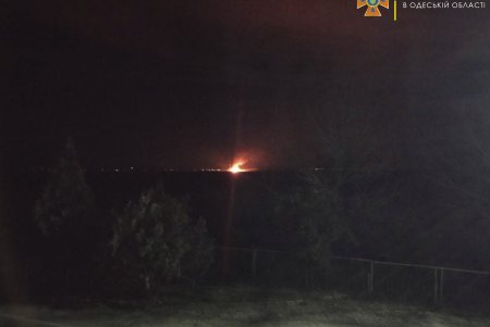 В Нижнеднестровском национальном природном парке сегодня ночью вновь горел камыш (фото)