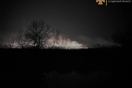 В Нижнеднестровском национальном природном парке сегодня ночью вновь горел камыш (фото)