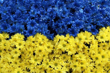  В Одессе отметили день объединения украинского народа  - День Соборности Украины (фоторепортаж)