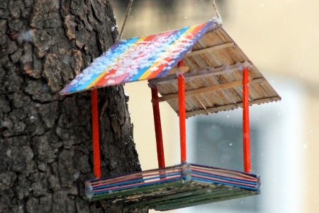 Скворечный городок появился возле одной из школ в центре Одессы (фоторепортаж)