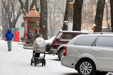 Скворечный городок появился возле одной из школ в центре Одессы (фоторепортаж)