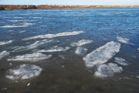 В Тилигульском ландшафтном парке провели подсчеты птиц и исследовали пробы воды (фото)