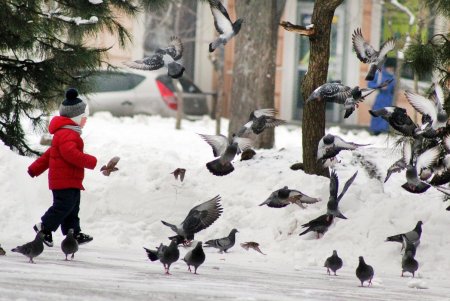 Еще один морозный день в Одессе (фоторепортаж) 