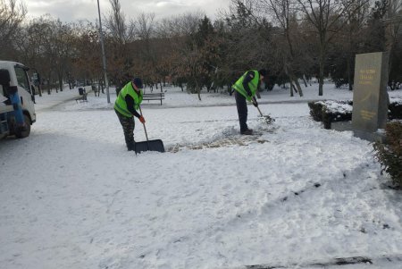 В Суворовском районе коммунальщики очистили памятники от снега (фото)