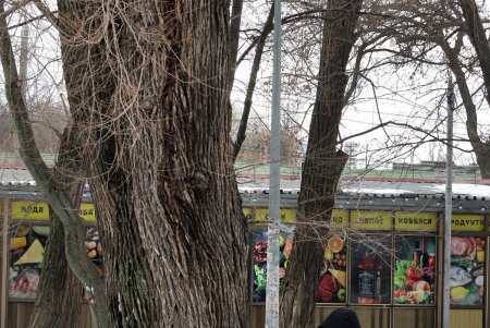 Старосенная площадь - любимое место для отдыха не только одесситов, но и туристов (фоторепортаж)