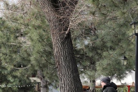 Старосенная площадь - любимое место для отдыха не только одесситов, но и туристов (фоторепортаж)