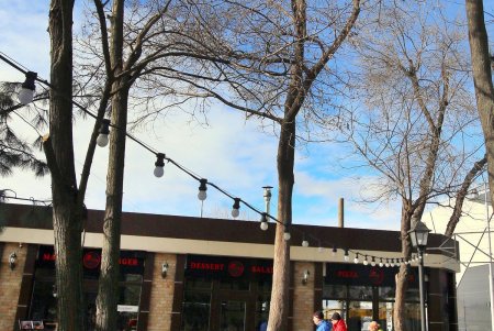 Старосенная площадь - любимое место для отдыха не только одесситов, но и туристов (фоторепортаж)