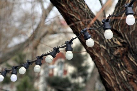 Старосенная площадь - любимое место для отдыха не только одесситов, но и туристов (фоторепортаж)