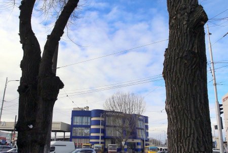 Старосенная площадь - любимое место для отдыха не только одесситов, но и туристов (фоторепортаж)