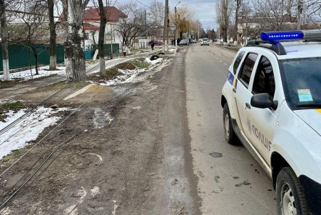В Беляевке водитель Honda не справился с управлением и врезался в дерево (фото)