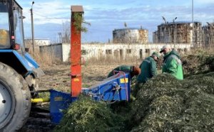 В Одессе нераскупленные новогодние елки перерабатываются на удобрения и мульчу (видео, фото)