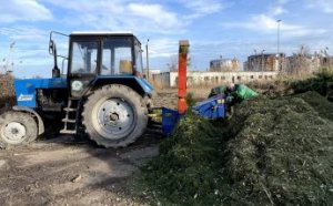 В Одессе нераскупленные новогодние елки перерабатываются на удобрения и мульчу (видео, фото)