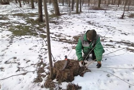 Коммунальщики убирают с улиц города слежавшийся снег, подметают парковые дорожки и вывозят мусор (фото)