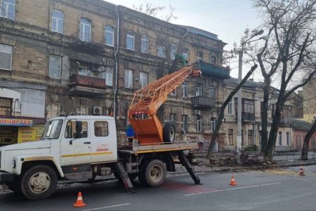 Коммунальщики второй день подряд наводят порядок на Молдаванке (фото, видео)