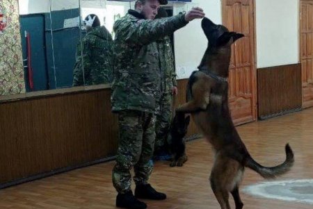 Кинологи Одесской области помогают в реабилитации людям с особенностями развития (фото)