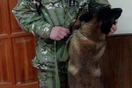Кинологи Одесской области помогают в реабилитации людям с особенностями развития (фото)