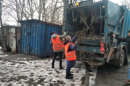 Одесские коммунальщики выполняют комплексную уборку придомовых территорий (фоторепортаж)