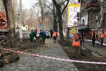 Одесские коммунальщики выполняют комплексную уборку придомовых территорий (фоторепортаж)