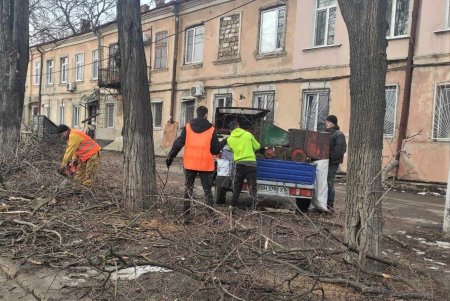 Одесские коммунальщики выполняют комплексную уборку придомовых территорий (фоторепортаж)