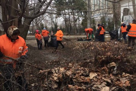 Коммунальщики провели субботник во всех района города (фото)