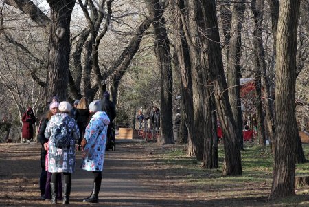 Воскресная прогулка по парку Шевченко (фоторепортаж)