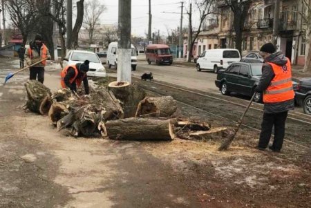 В Одессе состоялся субботник с привлечением спецтехники (фоторепортаж)