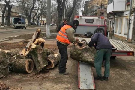 В Одессе состоялся субботник с привлечением спецтехники (фоторепортаж)