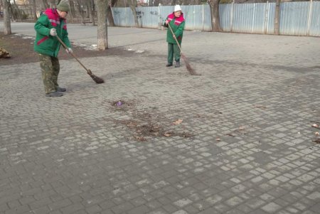 От Сегедской до Артиллерийской озеленители подрезают деревья: может быть затруднено движение транспорта