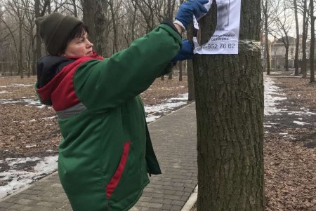 От Сегедской до Артиллерийской озеленители подрезают деревья: может быть затруднено движение транспорта