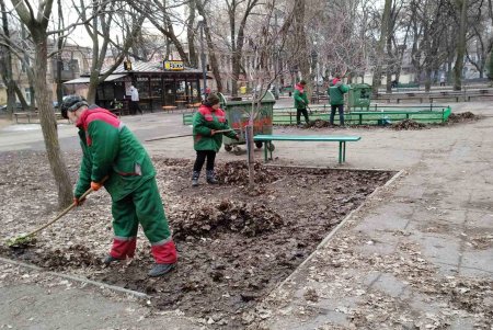 От Сегедской до Артиллерийской озеленители подрезают деревья: может быть затруднено движение транспорта