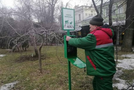 От Сегедской до Артиллерийской озеленители подрезают деревья: может быть затруднено движение транспорта