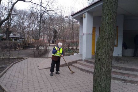 В Приморском районе коммунальщики привели в порядок территории бюветов (фото)