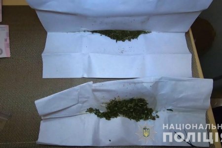 В Киевском районе 20-летняя девушка занималась расфасовкой и реализацией наркотиков (фото, видео)