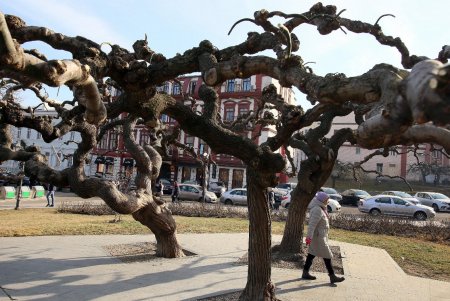 Театральная площадь — яркая жемчужина морского города (фоторепортаж) 