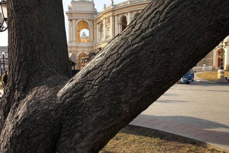 Театральная площадь — яркая жемчужина морского города (фоторепортаж) 