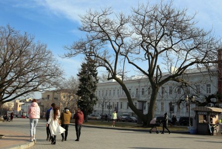 Театральная площадь — яркая жемчужина морского города (фоторепортаж) 