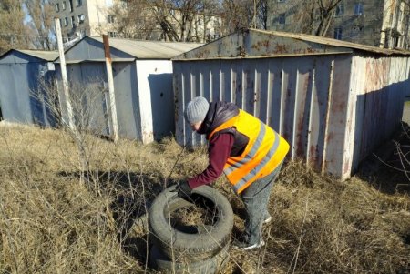 Подрезали деревья, вывозили мусор и шины: во всех районах города прошел масштабный субботник (фото)