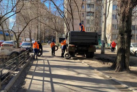 Подрезали деревья, вывозили мусор и шины: во всех районах города прошел масштабный субботник (фото)