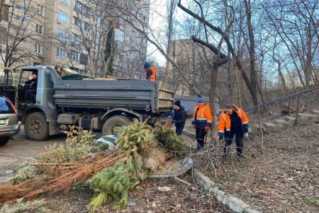 Подрезали деревья, вывозили мусор и шины: во всех районах города прошел масштабный субботник (фото)