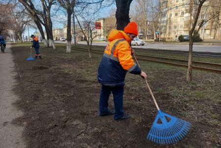 Подрезали деревья, вывозили мусор и шины: во всех районах города прошел масштабный субботник (фото)
