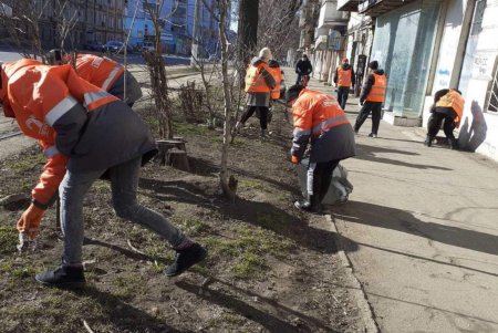 Подрезали деревья, вывозили мусор и шины: во всех районах города прошел масштабный субботник (фото)