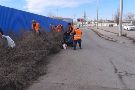 Подрезали деревья, вывозили мусор и шины: во всех районах города прошел масштабный субботник (фото)