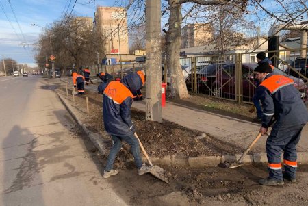 Подрезали деревья, вывозили мусор и шины: во всех районах города прошел масштабный субботник (фото)